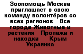 Зоопомощь.Москва приглашает в свою команду волонтёров со всех регионов - Все города Животные и растения » Пропажи и находки   . Крым,Украинка